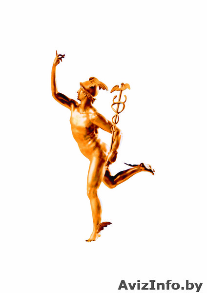 ПЕРЕВОДЫ В ВИТЕБСКЕ - Изображение #1, Объявление #24474