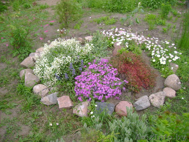 Продается дом на берегу озера. в Лепеле - Изображение #1, Объявление #110134