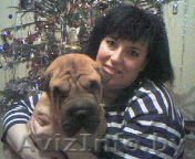 Домашний бизнес с ООО Сам себе директор - Изображение #1, Объявление #213475