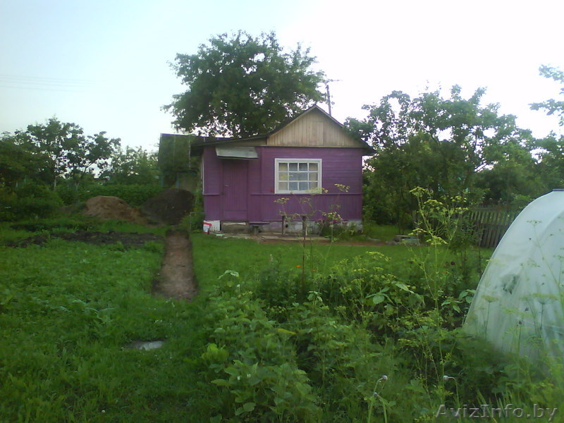 Дача Витебск Улановичи- Ольгово - Изображение #1, Объявление #231150