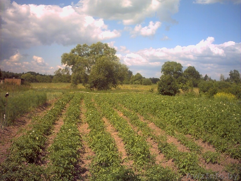 Участок недалеко от Октябрьского поселка - Изображение #1, Объявление #233807