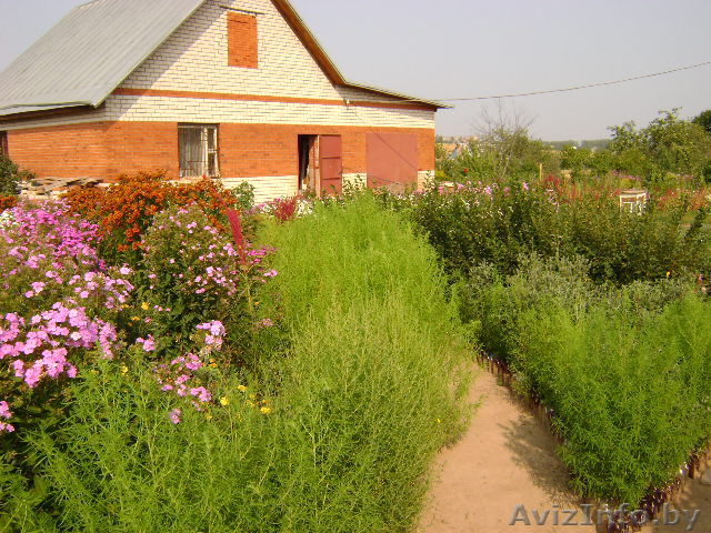 Дом в р-не Гагарина - Изображение #1, Объявление #272911