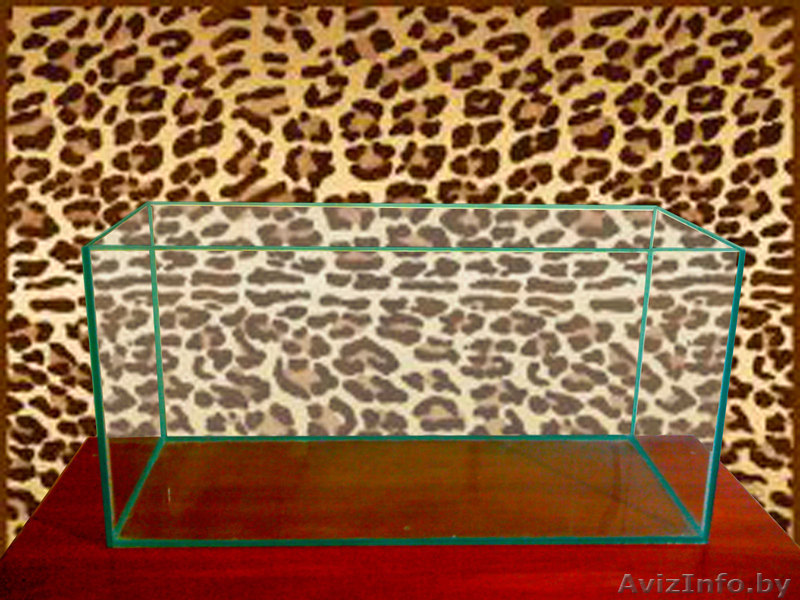 Аквариум 200л без крышки, дешево - Изображение #1, Объявление #255790