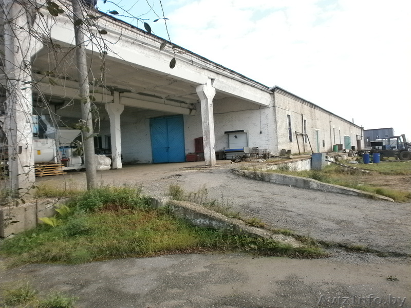 Продается склад  2199 м2, площадь участка 0,5582 Га. - Изображение #1, Объявление #942100