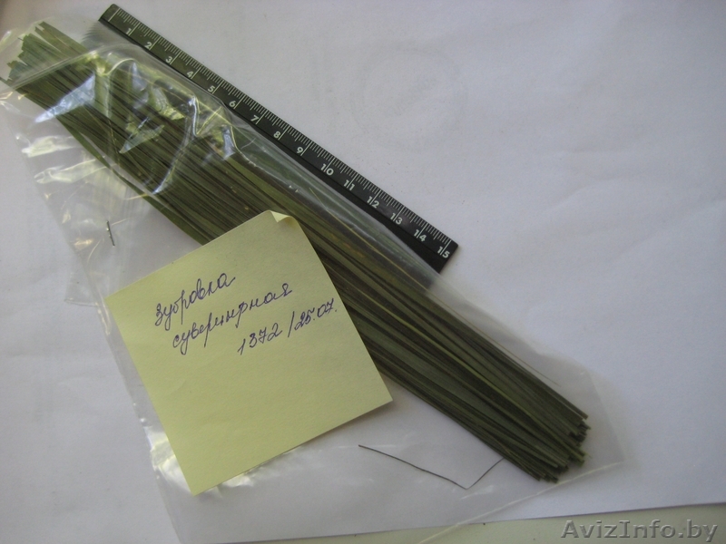 Лекарственно-растительное сырье оптом - Изображение #1, Объявление #1027437