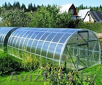 Теплица из поликарбоната «Урожай ПК» 3x8х2 + подарок - Изображение #1, Объявление #1086581