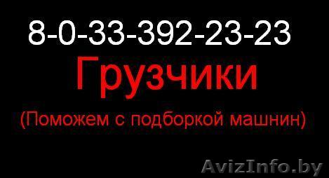 Услуги профессиональных грузчиков - Изображение #1, Объявление #1275920