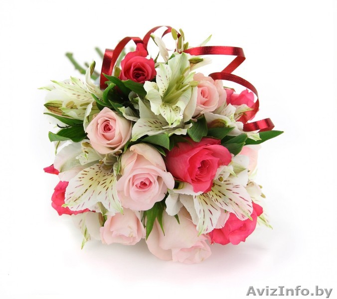 Свадьба. Витебск. Свадебные фото, видео. Свадебный фотограф, видеооператор - Изображение #1, Объявление #1446820