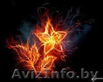 Оклейка обоев. Финиловые, флизелиновые, бумажные - Изображение #1, Объявление #1444375