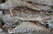 Грузоперевозки рефрижераторами Витебск - Изображение #1, Объявление #1516432