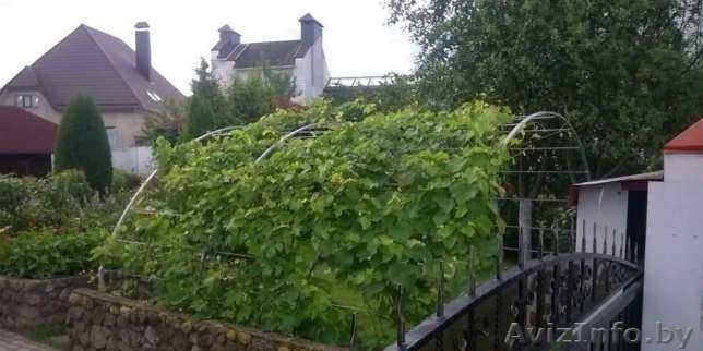 Дуги (шпалера) для поддержания виноградников - Изображение #1, Объявление #1514832