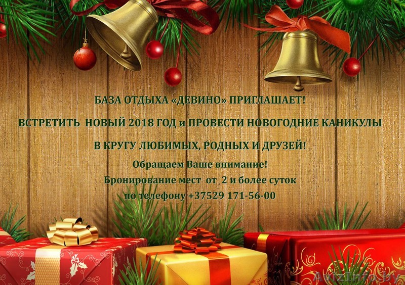 НОВОГОДНИЕ КАНИКУЛЫ НА БАЗЕ ОТДЫХА "ДЕВИНО" - Изображение #1, Объявление #1599239
