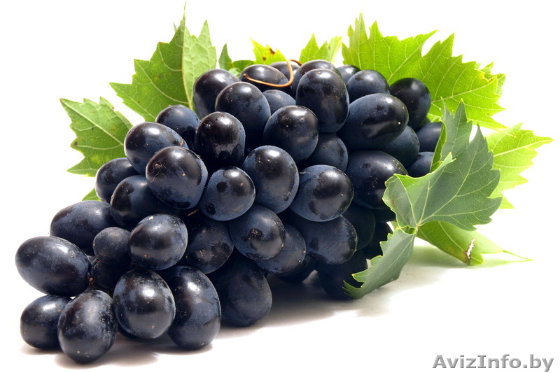 Виноград саженцы - Изображение #1, Объявление #1553578