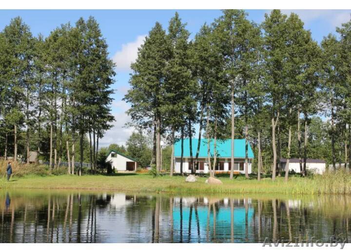 Дом на 1-й береговой линии озера - от города 10 км. Миоры - Изображение #1, Объявление #1634587