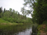 Усадьба "У Петровича" - Изображение #2, Объявление #38674