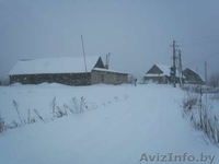Продам дом на берегу озера 30км от Витебска - Изображение #10, Объявление #135464