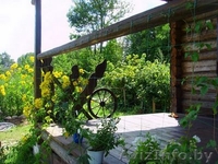 Сдаю жилой дом в Витебской обл. - Изображение #5, Объявление #15887