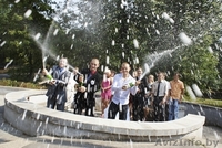 Свадебная фотография от Вадима Грикшты - Изображение #3, Объявление #270692