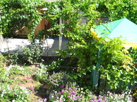 Отдых в Крыму!! Частный пансионат, недорого 8-10 долл.  - Изображение #1, Объявление #241225