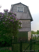 Продам дачу в Ранино в садоводческом товариществе "Строитель" - Изображение #1, Объявление #191357