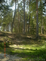 Срочно продам дом в Витебской обл., д. Межа - Изображение #1, Объявление #277720