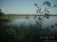 Срочно продам дом в Витебской обл., д. Межа - Изображение #6, Объявление #277720