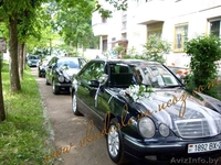 свадебное агентство "ВЛАДИСЛАВА" - Изображение #9, Объявление #144615