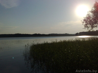 Участок 30 соток в гос.заказнике "Лосвидо" первая береговая линия!!! - Изображение #2, Объявление #187548