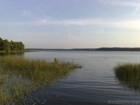 Участок 30 соток в гос.заказнике "Лосвидо" первая береговая линия!!! - Изображение #1, Объявление #187548