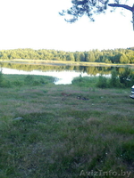 ПРОДАМ УЧАСТОК В ДЕРЕВНЕ В ВИТЕБСКОМ НАПРАВЛЕНИИ - Изображение #10, Объявление #313284