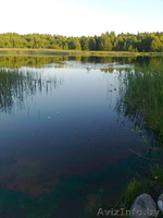 ПРОДАМ УЧАСТОК В ДЕРЕВНЕ В ВИТЕБСКОМ НАПРАВЛЕНИИ - Изображение #9, Объявление #313284