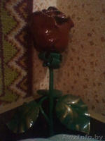 Кованные розы, кованные изделия - Изображение #1, Объявление #550193