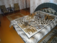 Сдам квартиру в центре, на сутки. - Изображение #4, Объявление #588559