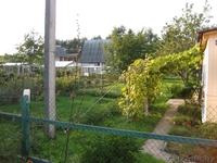 продам дачу недалеко от Т/Б Верасы - Изображение #3, Объявление #752318