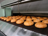 Сетка подовая конвейерная термостойкая хлебопекарная. - Изображение #4, Объявление #790715