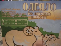 Одеяла, пледы, подушки, постельное белье - Изображение #2, Объявление #785976