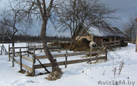 Продам Деревянный дом, Витебская обл. - Изображение #7, Объявление #838175