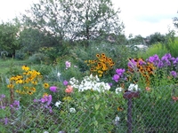 Продам приватизированную дачу (Дрюково) 15 км от города.  - Изображение #1, Объявление #880178