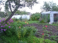 Продам приватизированную дачу (Дрюково) 15 км от города.  - Изображение #3, Объявление #880178