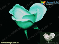 Организация дилерской сети в г. Витебск  - Изображение #3, Объявление #873498