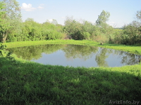 коттедж  с   отличным  участком  в  г.Городок - Изображение #5, Объявление #829610