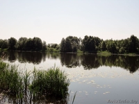 Загородный дом. 1-я береговая линия. Готовый. Витебск. - Изображение #7, Объявление #910445