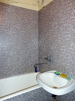 1-комнатная квартира  Лиозненский р-он. Витебск. - Изображение #4, Объявление #947152