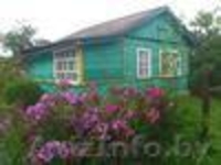 Продается дача в тирасполе - Изображение #2, Объявление #950870