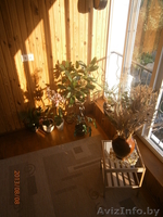 Дом   2 уровня  - Изображение #5, Объявление #941502