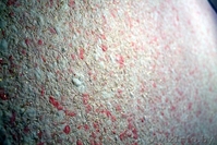 Отделка стен. Жидкие обои - Изображение #2, Объявление #1001434