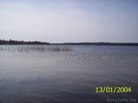 Продам дачу/участок в Сурмино г.п. Езерище - Изображение #10, Объявление #1048757