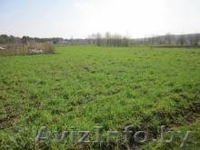 продам участок в Лятохах - Изображение #2, Объявление #1081659