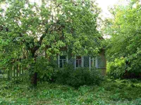 Частный дом в деревне - Изображение #2, Объявление #1124628