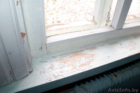 Большой крепкий дом по ул.Велижская. Газ, вода, электричество - всё есть! - Изображение #4, Объявление #1183445